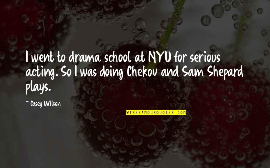 Best Serious Sam Quotes By Casey Wilson: I went to drama school at NYU for