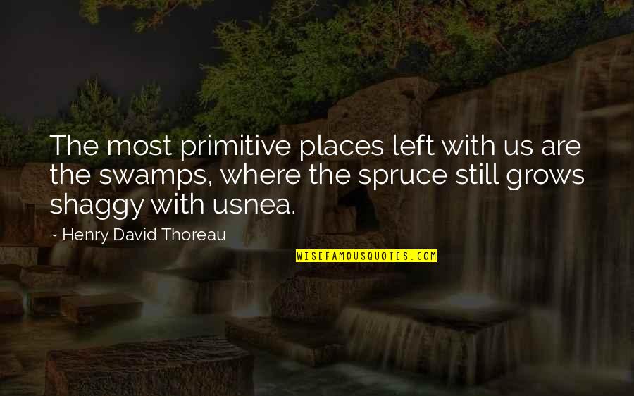 Best Shaggy Quotes By Henry David Thoreau: The most primitive places left with us are