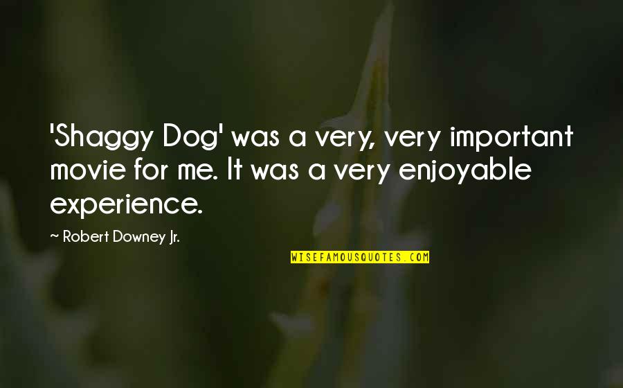 Best Shaggy Quotes By Robert Downey Jr.: 'Shaggy Dog' was a very, very important movie