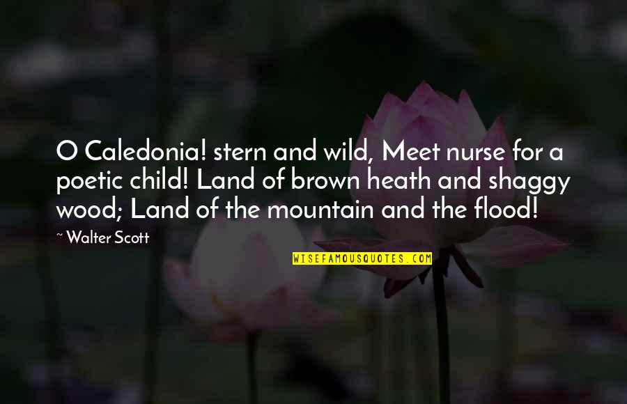 Best Shaggy Quotes By Walter Scott: O Caledonia! stern and wild, Meet nurse for