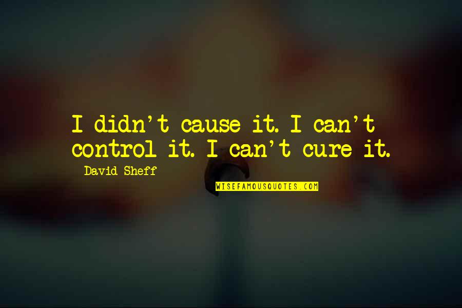 Best Sheff G Quotes By David Sheff: I didn't cause it. I can't control it. Best Sheff G Quotes By David Sheff: I didn't cause it. I can't control it.