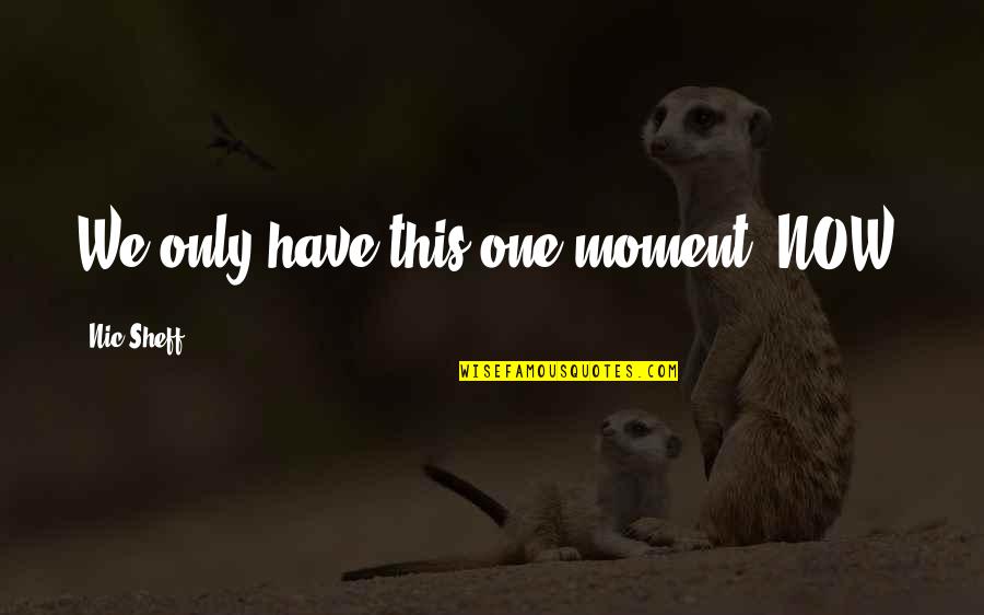 Best Sheff G Quotes By Nic Sheff: We only have this one moment: NOW. Best Sheff G Quotes By Nic Sheff: We only have this one moment: NOW.