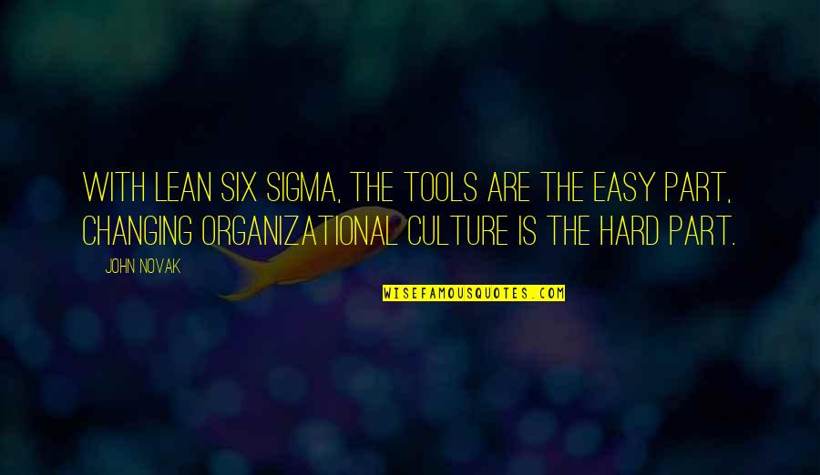 Best Sigma Quotes By John Novak: With Lean Six Sigma, the tools are the
