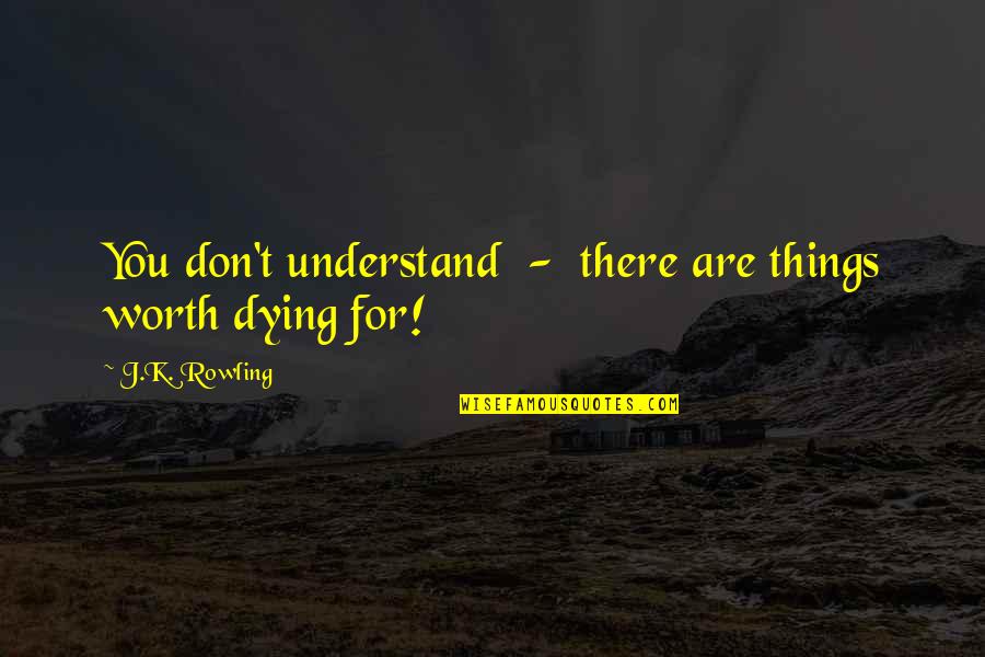 Best Sirius Quotes By J.K. Rowling: You don't understand - there are things worth Best Sirius Quotes By J.K. Rowling: You don't understand - there are things worth