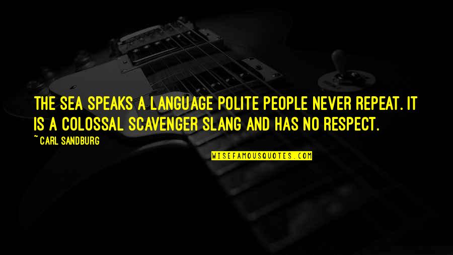 Best Slang Quotes By Carl Sandburg: The sea speaks a language polite people never