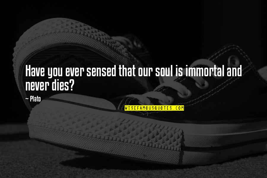 Best Slashdot Quotes By Plato: Have you ever sensed that our soul is