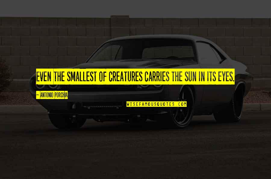 Best Smallest Quotes By Antonio Porchia: Even the smallest of creatures carries the sun