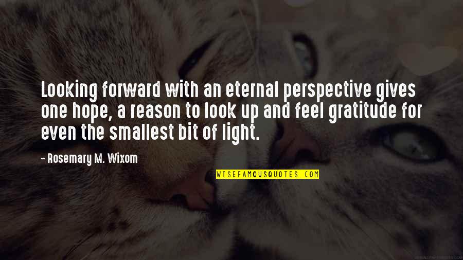 Best Smallest Quotes By Rosemary M. Wixom: Looking forward with an eternal perspective gives one