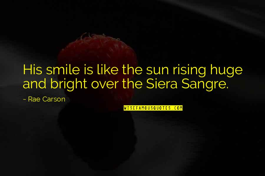 Best Smile Ever Quotes By Rae Carson: His smile is like the sun rising huge