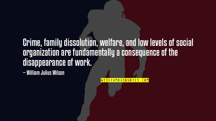 Best Social Work Quotes By William Julius Wilson: Crime, family dissolution, welfare, and low levels of