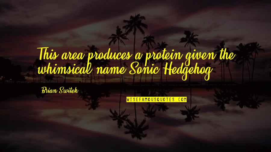 Best Sonic The Hedgehog Quotes By Brian Switek: This area produces a protein given the whimsical