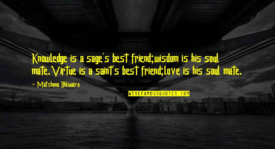 Best Soul Quotes By Matshona Dhliwayo: Knowledge is a sage's best friend;wisdom is his