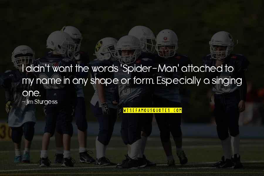 Best Spider Man 2 Quotes By Jim Sturgess: I didn't want the words 'Spider-Man' attached to Best Spider Man 2 Quotes By Jim Sturgess: I didn't want the words 'Spider-Man' attached to