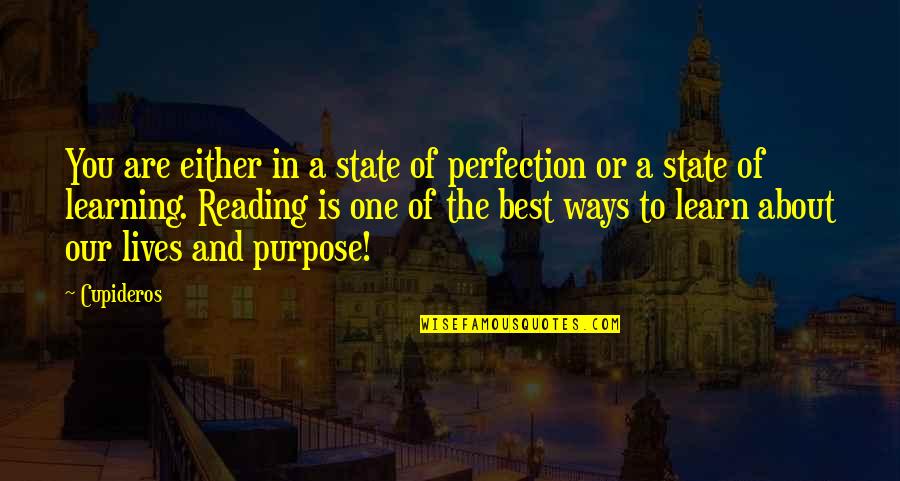 Best Spirituality Quotes By Cupideros: You are either in a state of perfection