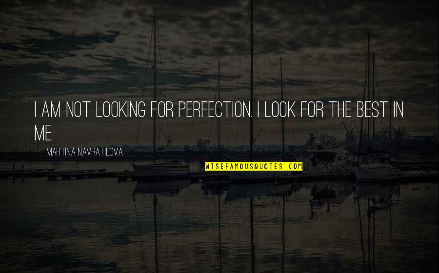 Best Sports Quotes By Martina Navratilova: I am not looking for perfection. I look