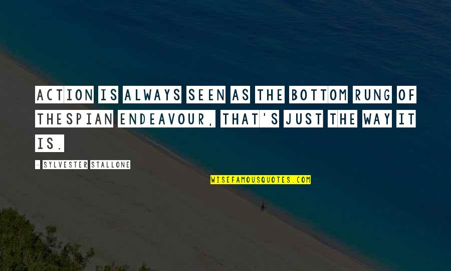 Best Stallone Quotes By Sylvester Stallone: Action is always seen as the bottom rung Best Stallone Quotes By Sylvester Stallone: Action is always seen as the bottom rung
