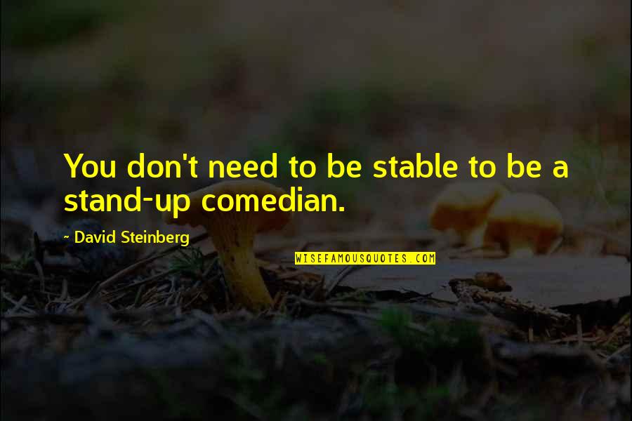 Best Stand Up Comedian Quotes By David Steinberg: You don't need to be stable to be