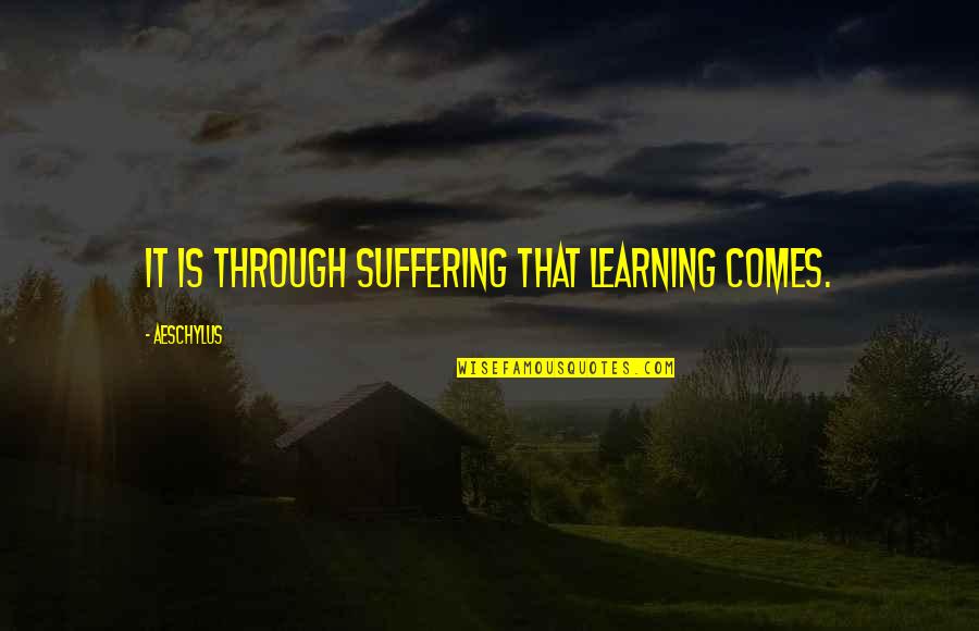 Best Stephen Merchant Quotes By Aeschylus: It is through suffering that learning comes.