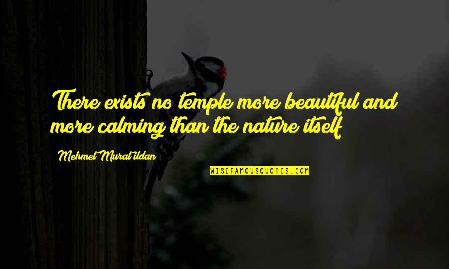Best Stereotyping Quotes By Mehmet Murat Ildan: There exists no temple more beautiful and more