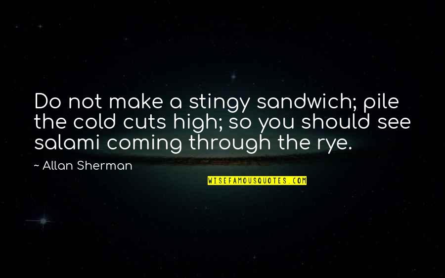 Best Stingy Quotes By Allan Sherman: Do not make a stingy sandwich; pile the