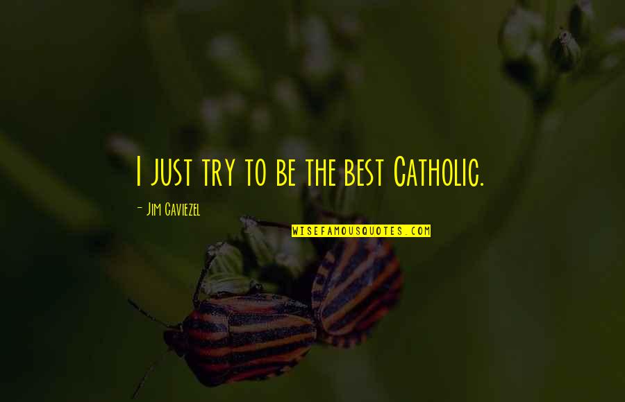 Best Streetlight Manifesto Quotes By Jim Caviezel: I just try to be the best Catholic.