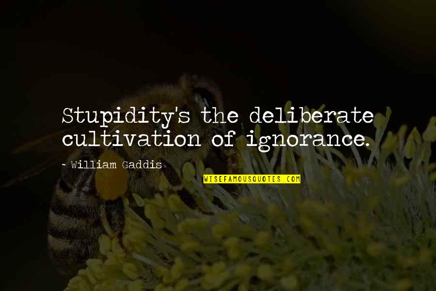 Best Stupidity Quotes By William Gaddis: Stupidity's the deliberate cultivation of ignorance.