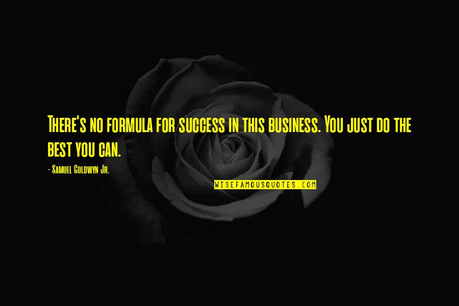 Best Success Quotes By Samuel Goldwyn Jr.: There's no formula for success in this business.