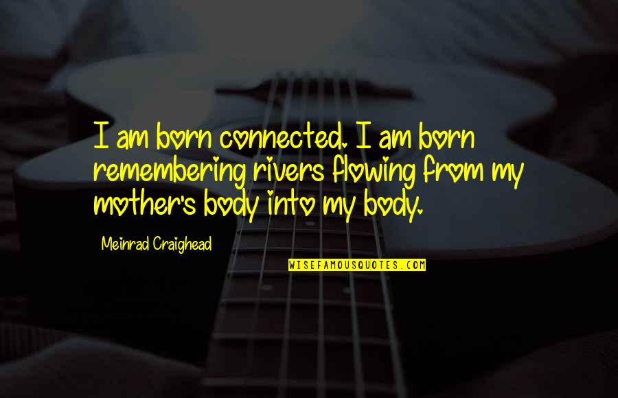 Best Successories Quotes By Meinrad Craighead: I am born connected. I am born remembering