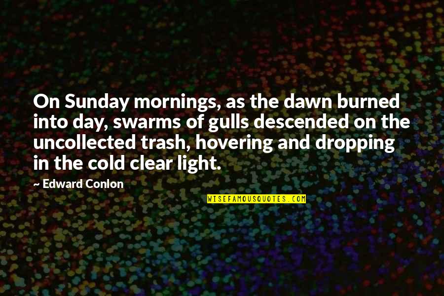 Best Sunday Morning Quotes By Edward Conlon: On Sunday mornings, as the dawn burned into