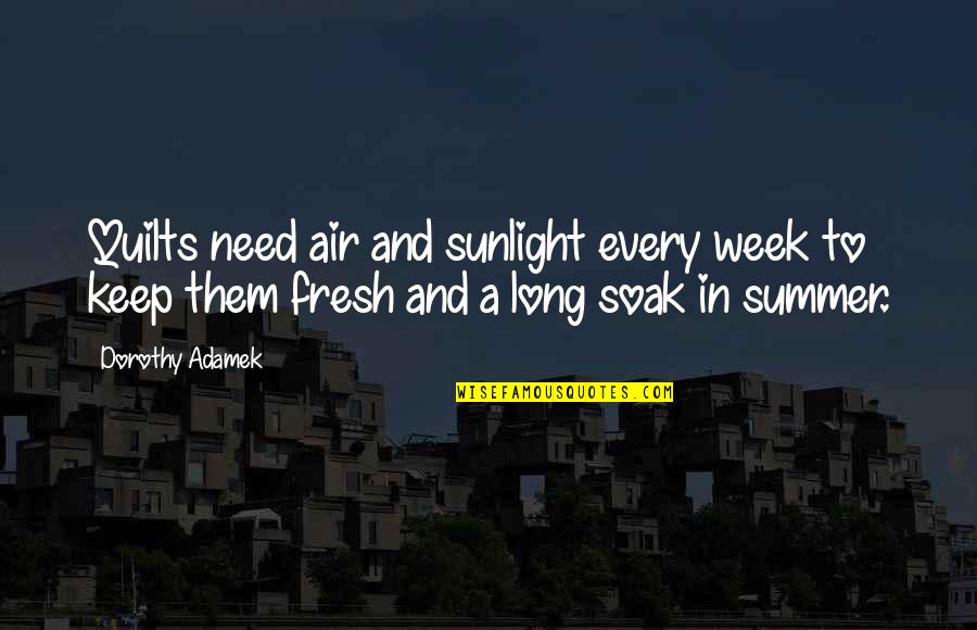 Best Sunlight Quotes By Dorothy Adamek: Quilts need air and sunlight every week to Best Sunlight Quotes By Dorothy Adamek: Quilts need air and sunlight every week to