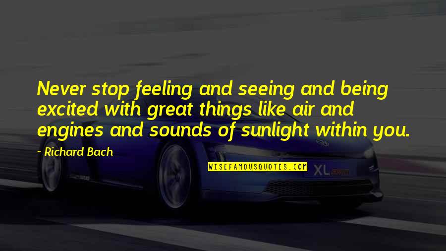 Best Sunlight Quotes By Richard Bach: Never stop feeling and seeing and being excited Best Sunlight Quotes By Richard Bach: Never stop feeling and seeing and being excited