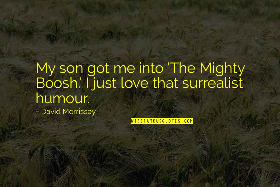 Best Surrealist Quotes By David Morrissey: My son got me into 'The Mighty Boosh.'