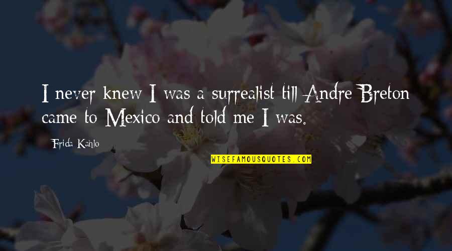 Best Surrealist Quotes By Frida Kahlo: I never knew I was a surrealist till