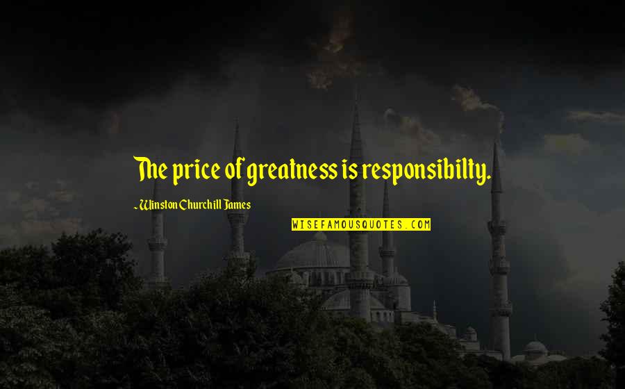Best Syrio Quotes By Winston Churchill James: The price of greatness is responsibilty.