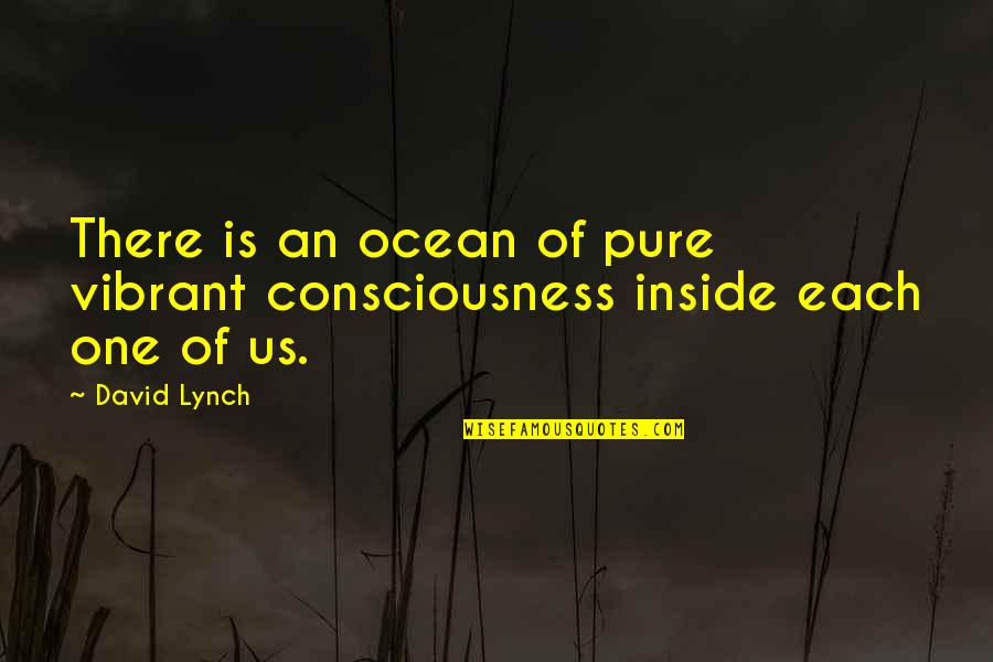 Best Ted Talk Quotes By David Lynch: There is an ocean of pure vibrant consciousness