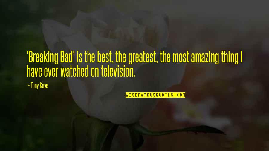 Best Thing Ever Quotes By Tony Kaye: 'Breaking Bad' is the best, the greatest, the Best Thing Ever Quotes By Tony Kaye: 'Breaking Bad' is the best, the greatest, the