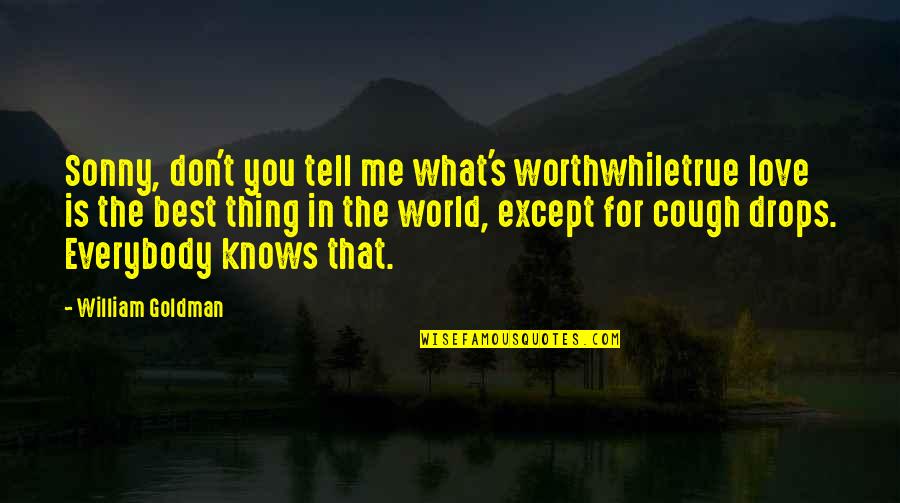 Best Thing For Me Quotes By William Goldman: Sonny, don't you tell me what's worthwhiletrue love