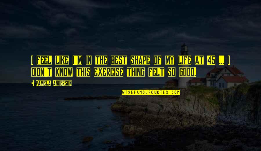 Best Thing In My Life Quotes By Pamela Anderson: I feel like I'm in the best shape
