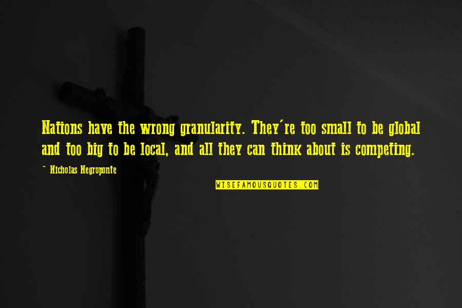 Best Thinking About You Quotes By Nicholas Negroponte: Nations have the wrong granularity. They're too small