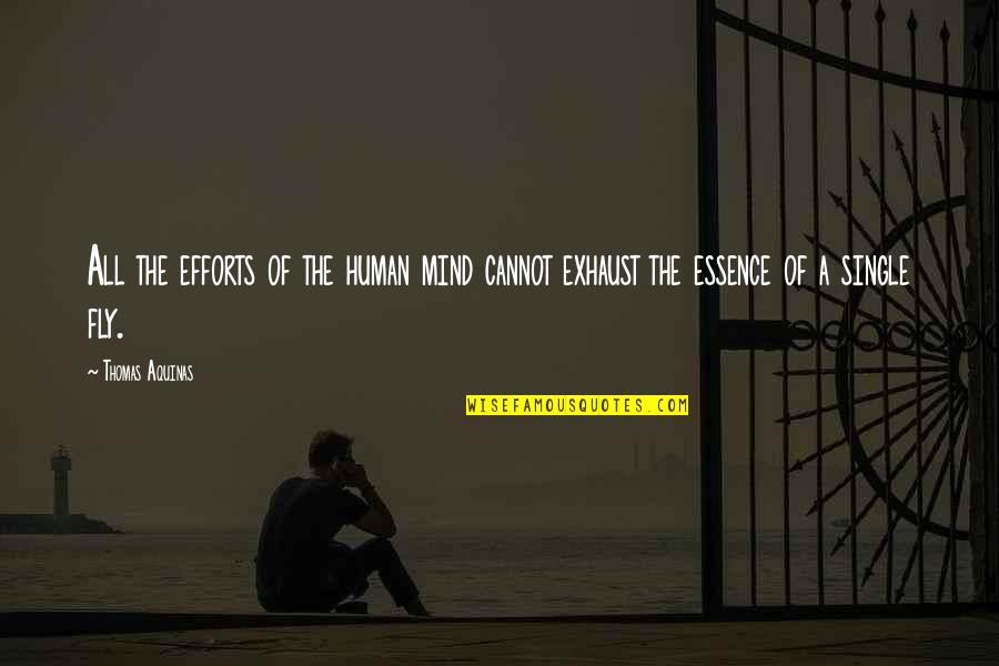 Best Thomas Aquinas Quotes By Thomas Aquinas: All the efforts of the human mind cannot