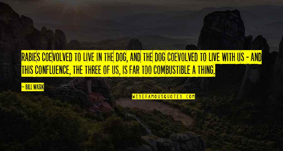 Best Three Dog Quotes By Bill Wasik: Rabies coevolved to live in the dog, and Best Three Dog Quotes By Bill Wasik: Rabies coevolved to live in the dog, and