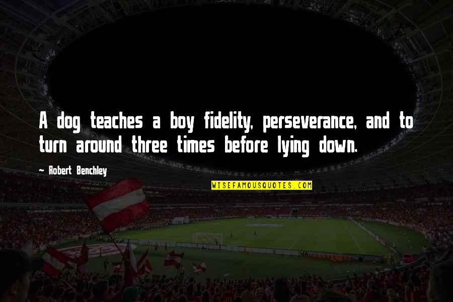 Best Three Dog Quotes By Robert Benchley: A dog teaches a boy fidelity, perseverance, and Best Three Dog Quotes By Robert Benchley: A dog teaches a boy fidelity, perseverance, and