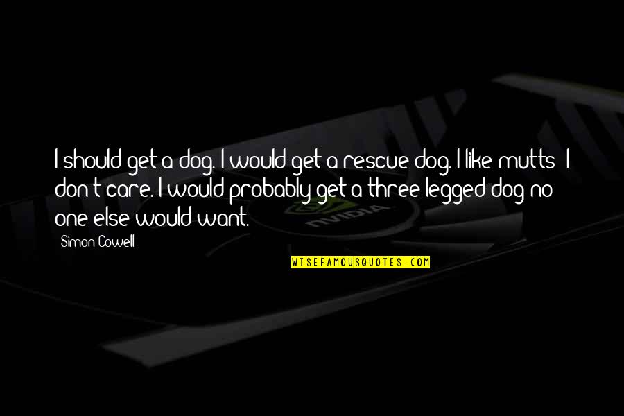 Best Three Dog Quotes By Simon Cowell: I should get a dog. I would get