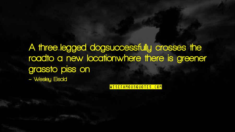 Best Three Dog Quotes By Wesley Eisold: A three-legged dogsuccessfully crosses the roadto a new Best Three Dog Quotes By Wesley Eisold: A three-legged dogsuccessfully crosses the roadto a new