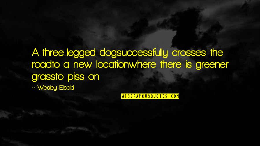 Best Three Dog Quotes By Wesley Eisold: A three-legged dogsuccessfully crosses the roadto a new