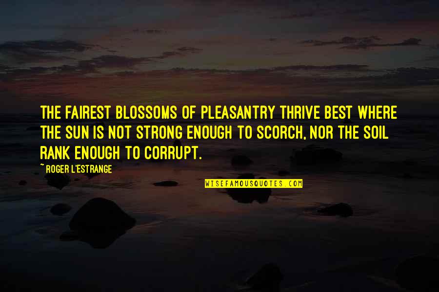 Best Thrive Quotes By Roger L'Estrange: The fairest blossoms of pleasantry thrive best where Best Thrive Quotes By Roger L'Estrange: The fairest blossoms of pleasantry thrive best where