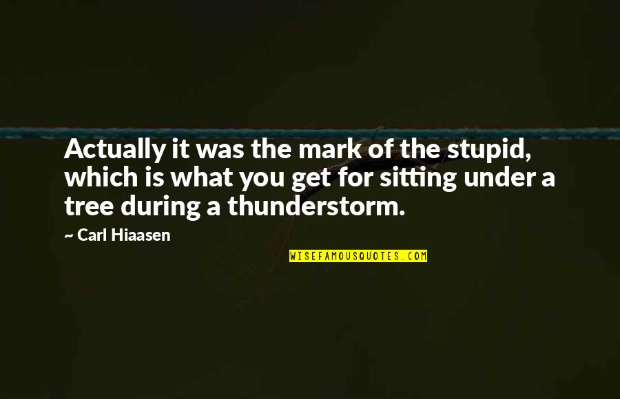 Best Thunderstorm Quotes By Carl Hiaasen: Actually it was the mark of the stupid,