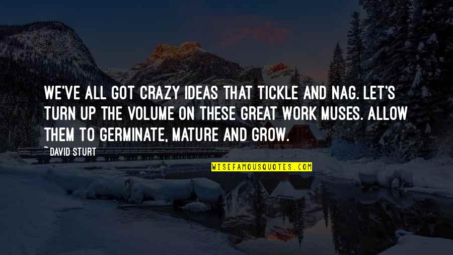 Best Tickle Quotes By David Sturt: We've all got crazy ideas that tickle and Best Tickle Quotes By David Sturt: We've all got crazy ideas that tickle and