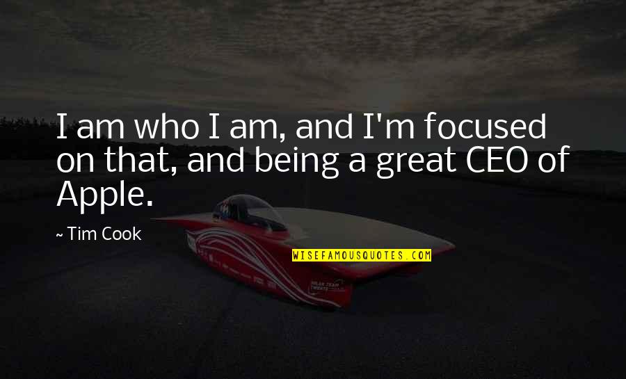 Best Tim Cook Quotes By Tim Cook: I am who I am, and I'm focused