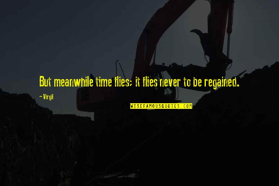 Best Time Flies Quotes By Virgil: But meanwhile time flies; it flies never to
